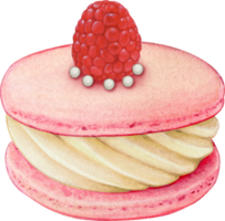 Watercolor hand drawn realistic macaron raspberry png