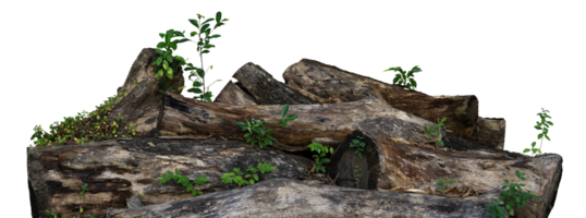 stack of old tree trunk isolated png