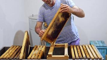 New harvest of honey. Beekeeper removes excess beeswax with the scraper by hand. Apiarist preparing frames with honeycomb for pumping honey on a farm. video