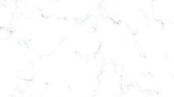 White Marble Texture Background. Minimal Stone Surface vector