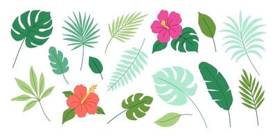 A collection of tropical plants and flowers, including a red flower with a yellow center. The flowers are arranged in a variety of sizes and shapes, creating a sense of movement and diversity vector