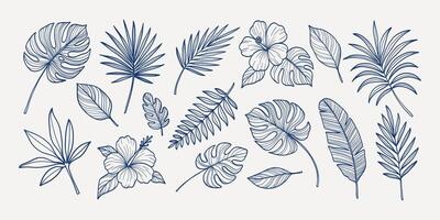 A set of blue and white drawings of various leaves and flowers. The drawings are stylized and appear to be hand-drawn. Scene is serene and peaceful, with the blue vector