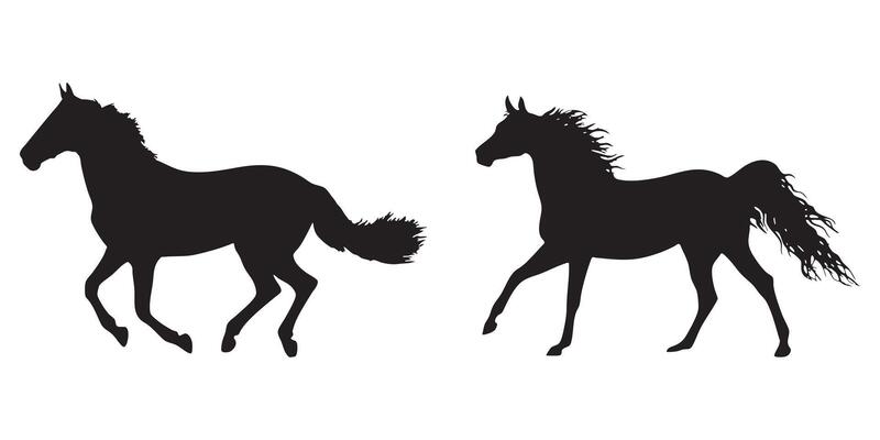Silhouette of Two Galloping Horses Running