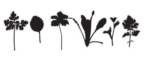 Silhouette Collection of Herb and Leaf Shapes vector
