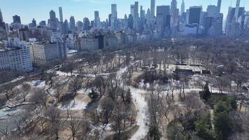 Incredible Central Park in Manhattan New York in United States.. Beautiful Background. video