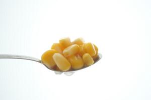 Close-up of corn kernels on a spoon against a bright background photo