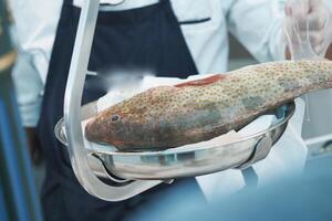 Chef prepares fresh fish at seafood market in the afternoon photo