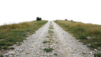 A gravel road with grass and rocks on top photo