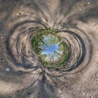 A circular hole in the ground with a tree in the middle photo