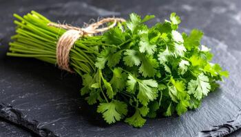 Fresh Coriander Bundle Tied with Natural String photo