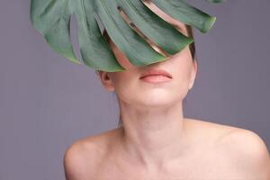 Young caucasian female partially covered by monstera leaf with neutral expression in studio setting. photo
