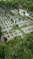 Aerial view of military cemetery in Cu Chi, Vietnam. Ideal for history, remembrance, and architecture themes. video