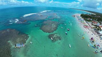 Aerial Landscape of Coral Reefs Scenery in Port of Chickens Pernambuco in Brazil. Beautiful Background. video