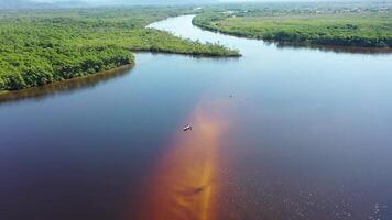 Famous Amazon Rainforest in Rio Branco Acre Brazil.. Beautiful Scene. video
