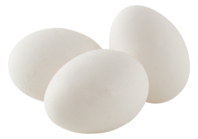 Fresh duck Eggs cut out isolated transparent background png