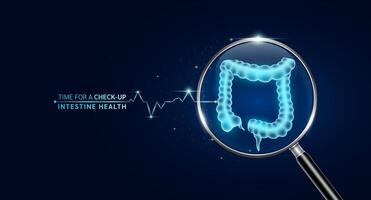 Intestine inside magnifying glass with scan search and blue glowing neon heart pulse. Health care and medical check up too innovative digital technology. Body health checkup examining organ. vector