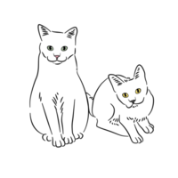 Two cats are next to each other, sit and stand up png