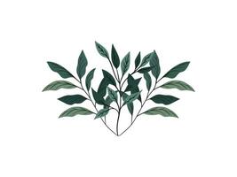 Hand-drawn green plants and layered leaves on white, with delicate pencil strokes and vintage botanical style, creating a minimal vector