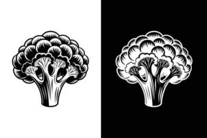 Broccoli Icon with reflection on white black background vector