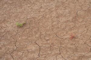 Parched, cracked earth from extreme drought shows the impact of climate change and water scarcity. A powerful visual for themes of global warming, dry seasons, and environmental crisis. photo
