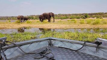High Angle of Safari Tour in Okavango Delta National Park in Botswana. Beauty Background. video
