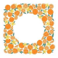 Oranges, round frame. Leaves, fruits and flowers. Fruit slices, citrus halves. Natural food. Blank summer background with space for text. Color flat illustration. Isolated white background. vector