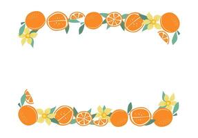 Oranges, frame. Fruit whole and cut in half, leaves, flowers. Citruses, natural food. Blank summer background with space for text. Color flat illustration. Isolated white background. vector