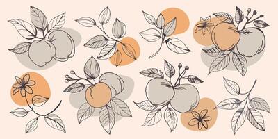 Hand drawn fruit pattern with oranges and leaves in pastel colors on soft peach seamless background vector