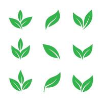 Green leaf icons set vector
