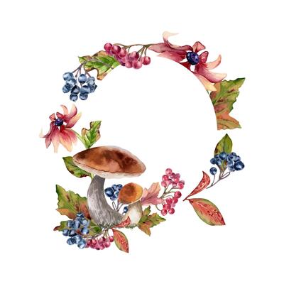 Mushrooms with brown cap and autumn red black berries in watercolor circle frame isolated. Pink coneflowers and rowan, viburnum berry painted. Autumn wreath with wild forest plants hand drawn for card