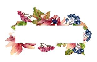Autumn floral border in pink green watercolor colors isolated. Coneflowers with berries, maple leaves on horizontal frame hand drawn. Colorful daisy and rowan botanical sketch. Fall blooms for design. vector