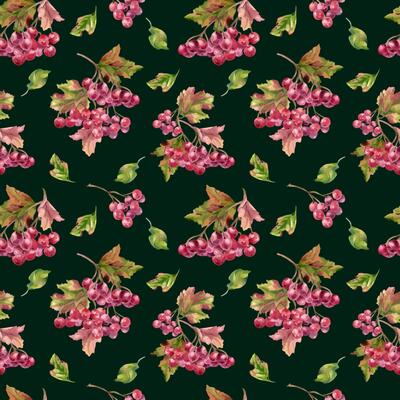 Red berries and autumn leaves watercolor seamless pattern isolated. Bunch of red viburnum berries botanical repeated texture. Snowball tree berries on branch, leaves background hand painted for