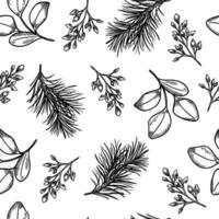 Seamless botanical pattern with branches, leaves and coniferous hand drawn black white outline . Winter foliage line art repeat design for Christmas packaging, holiday botany prints, textile. vector