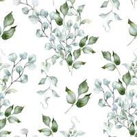 Sage green leaves and eucalyptus bouquet watercolor seamless pattern isolated. Delicate plants in soft tones on repeated texture painted. Foliage background in pastel tones hand drawn design textile vector