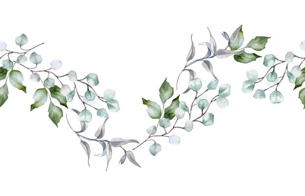 Wavy greenery seamless border in sage green colors watercolor isolated. Soft green leaves holly, branches of eucalyptus, curvy vine hand drawn. Botanical foliage repeating pattern for design textile.