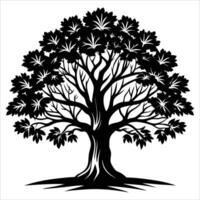 An illustration of a tree with leaves vector