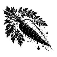 Carrot design graphics, vector