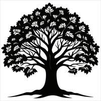 An oak tree with leaves and branches on a white background vector
