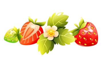 The illustration features two ripe strawberries surrounded by green leaves and a delicate flower. One strawberry is whole, while the other is cut in half, revealing its juicy flesh. vector