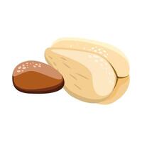 Peeled salak is snake fruit and pit vector