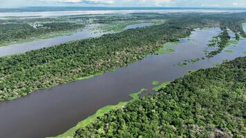 exterior Amazonas floresta dentro manaus amazonas dentro brasil.. deslumbrante fundo. video