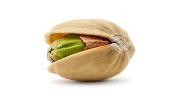 A nut with a shell on it photo
