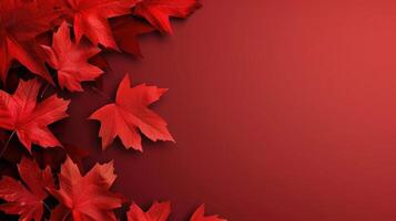 Victoria Day in Canada, red maple leaves, autumn red background, minimalism, horizontal banner, copy space, free space for text photo