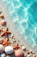 vertical banner, A sandy beach with various seashells and starfish scattered along the shore. Clear turquoise water gently lips at the sand, copy space, free space for text photo