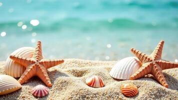 horizontal banner, sandy beach with various seashells and starfish, clear blue ocean is in the background, copy space, free space for text photo