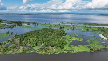High Angle of Amazonian Rainforest at Manaus Amazonas Brazil. Stunning Background. video