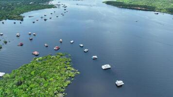 cênico amazonense floresta tropical dentro manaus amazonas brasil.. cênico cenário. video