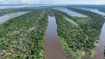 temor amazonense rio às manaus dentro amazonas brasil.. lindo fundo. video