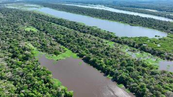 Alto ângulo do Amazonas floresta dentro manaus amazonas dentro Brasil . impressionante fundo. video