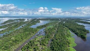 Alto ângulo do amazonense floresta tropical dentro manaus amazonas brasil.. cênico cenário. video